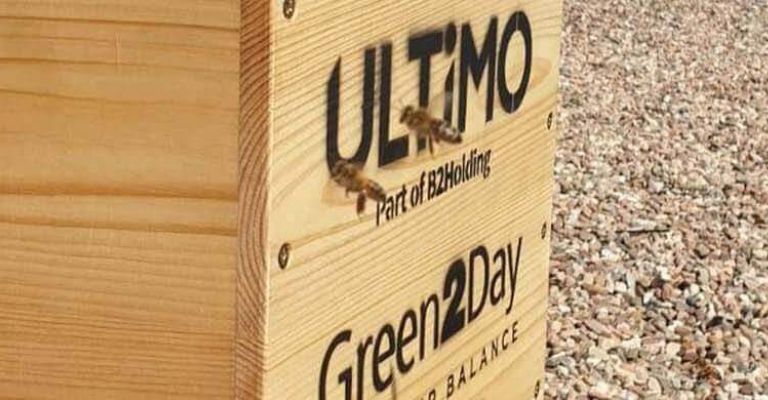 B2 Impact zainicjowało powstanie pasieki na dachu biurowca