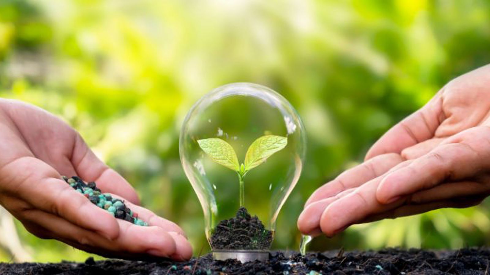 Ekologiczne B2 Impact